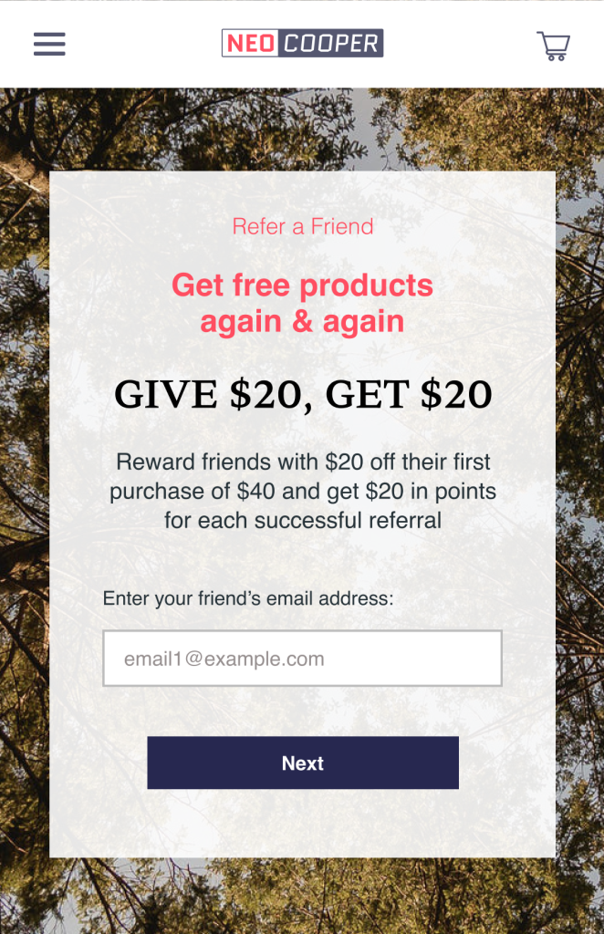 Refer a friend program