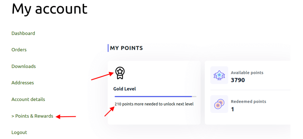 Customer’s point and rewards page