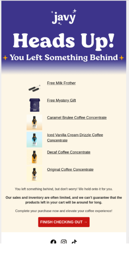 Abandoned cart recovery email template of Javy