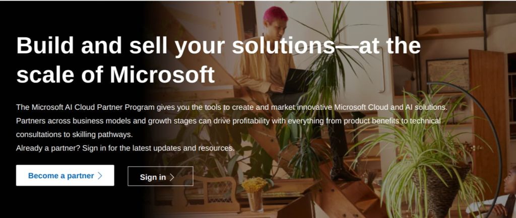 The Microsoft Partner Program