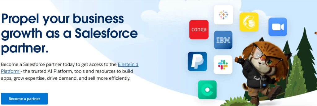 The Salesforce Partner Program